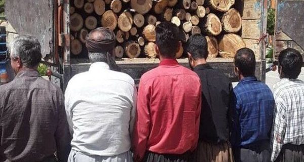 عاملان قطع درختان جنگلی در حسین آباد سنندج دستگیر شدند