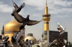 سنندج جلوه ارادت اهل سنت به امام رضا(ع)