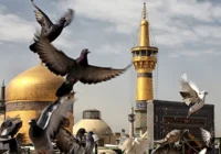 سنندج جلوه ارادت اهل سنت به امام رضا(ع)
