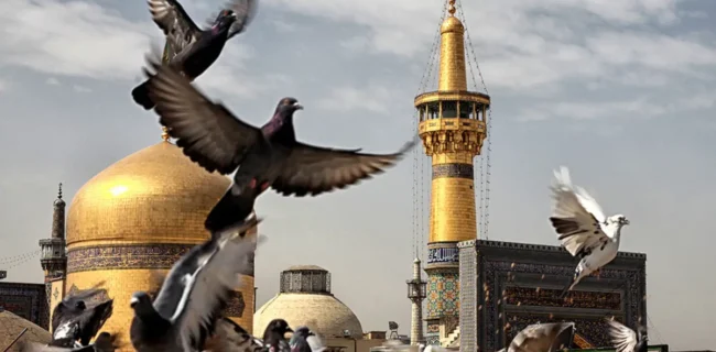 سنندج جلوه ارادت اهل سنت به امام رضا(ع)