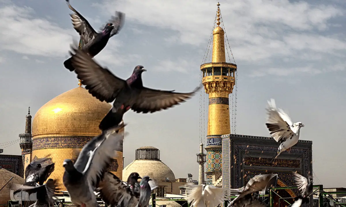 سنندج جلوه ارادت اهل سنت به امام رضا(ع)