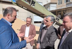 فرماندار سنندج از شرکت تعاونی آرد فجر بازدید کرد