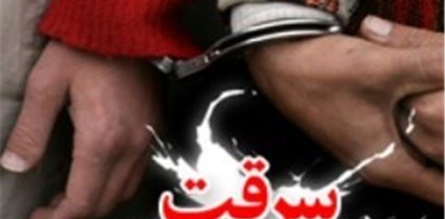 کاهش دە درصدی سرقت در سنندج