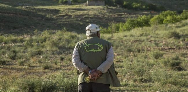 ۱۲ هزار کردستانی در صف نخست حفاظت از طبیعت