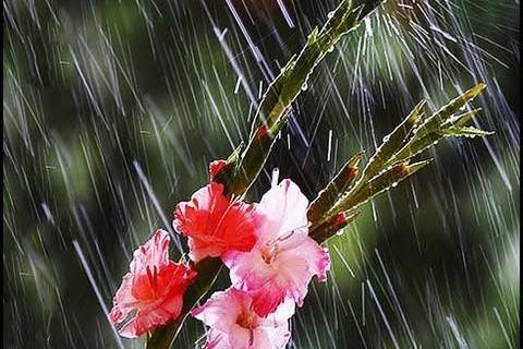 صدور هشدار سطح زرد هواشناسی برای کردستان