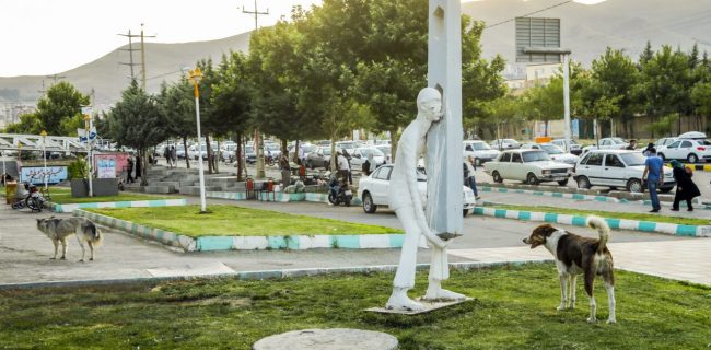بحران سگ‌های ولگرد؛ زخمی بر سیمای زیبای سنندج