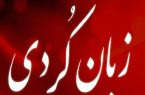 رسانه‌های نوین؛ فرصتی برای صیانت از کردی